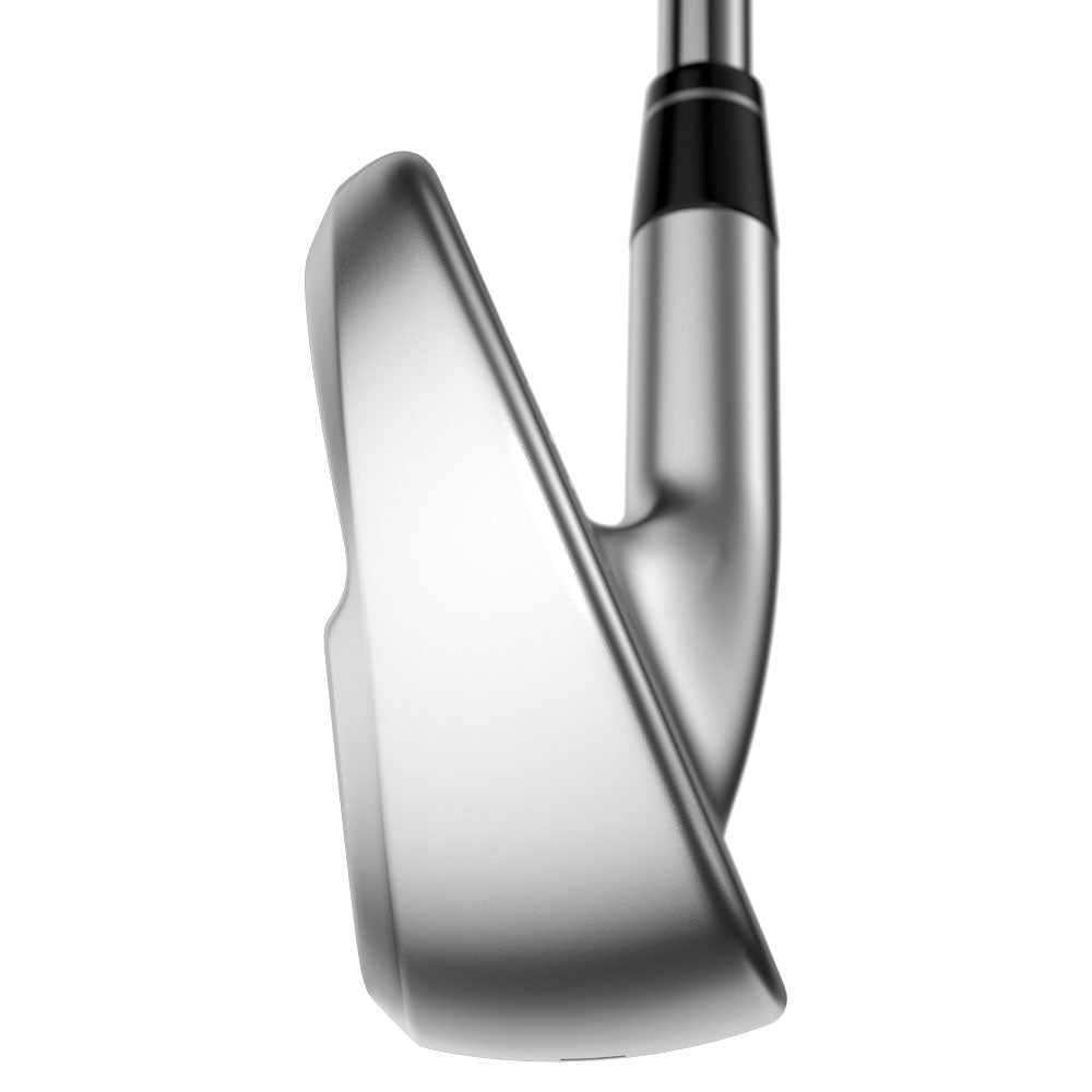Apex Ai300 Irons - Graphite