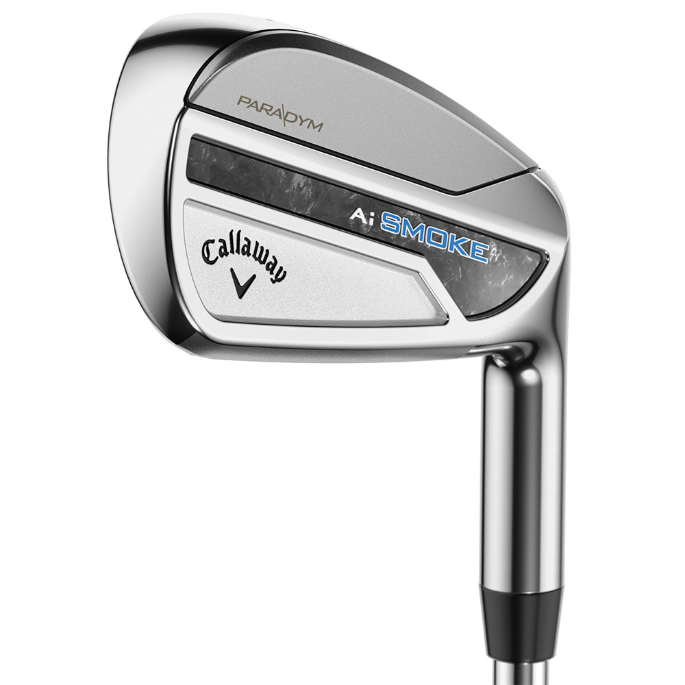 Paradym Ai Smoke Single Irons - Graphite